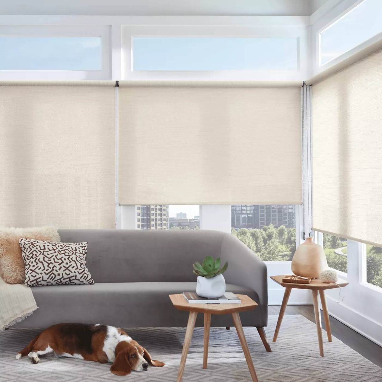 Hunter Douglas Alustra® Woven Textures® Roller Shades near Dallas, Texas (TX